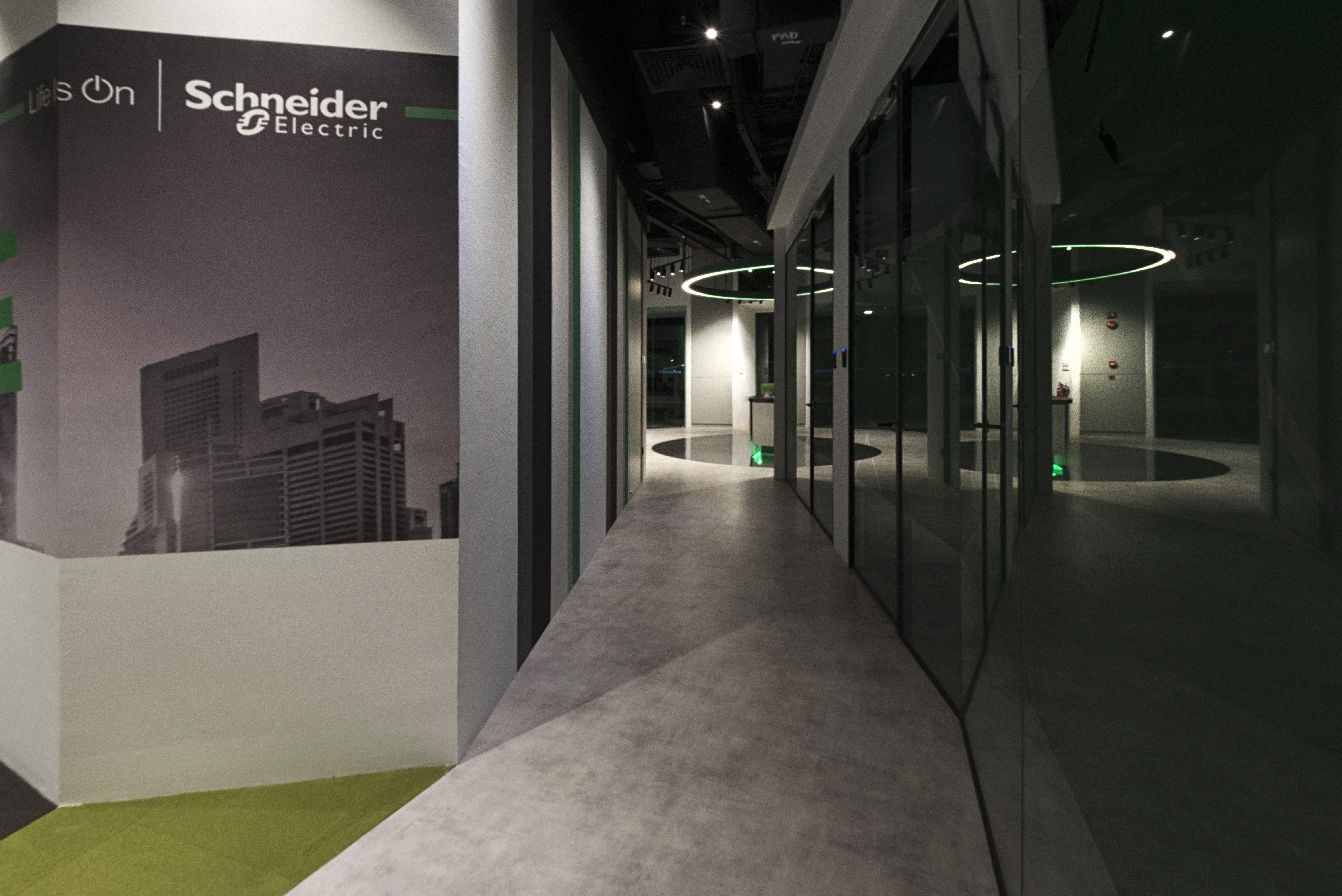 Schneider_30